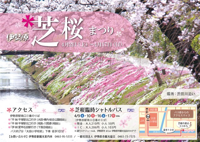 芝桜祭り